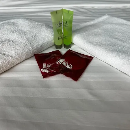 Boutique With Balcony & Radisson View Calea Victoriei *