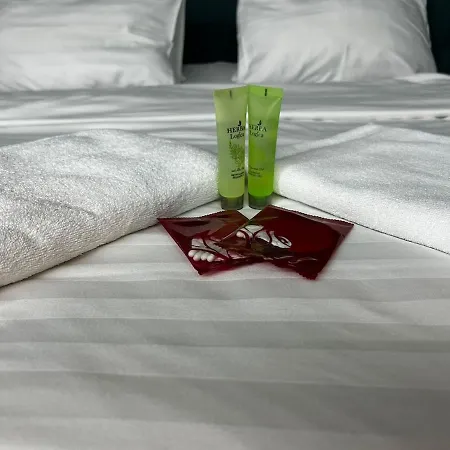Apartment Boutique With Balcony & Radisson View Calea Victoriei